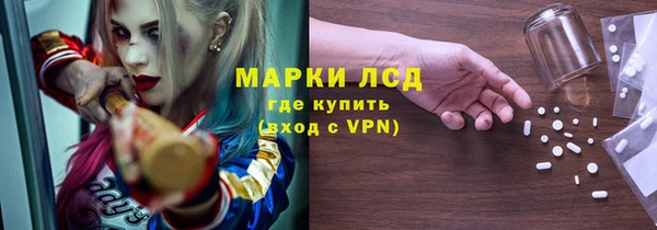 прущие грибы Алексеевка