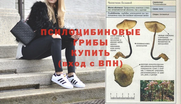 экстази Алзамай