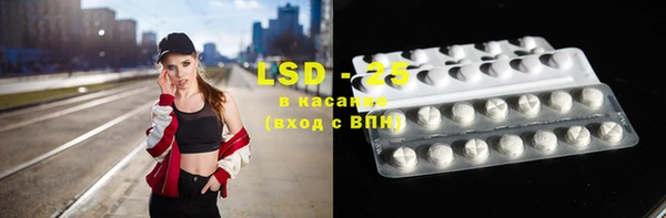прущие грибы Алексеевка