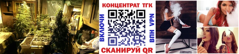 блэк спрут зеркало  Лагань  ТГК вейп 