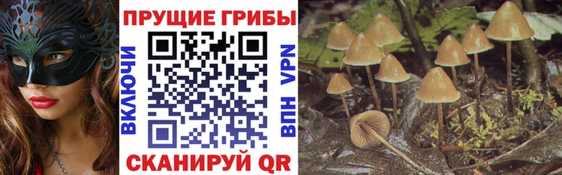 Галлюциногенные грибы GOLDEN TEACHER  Лагань 